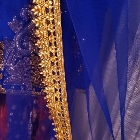 Gorgeous Lehenga - Picture 5 of 8